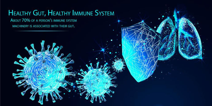 Healthy Gut, Healthy Immune System